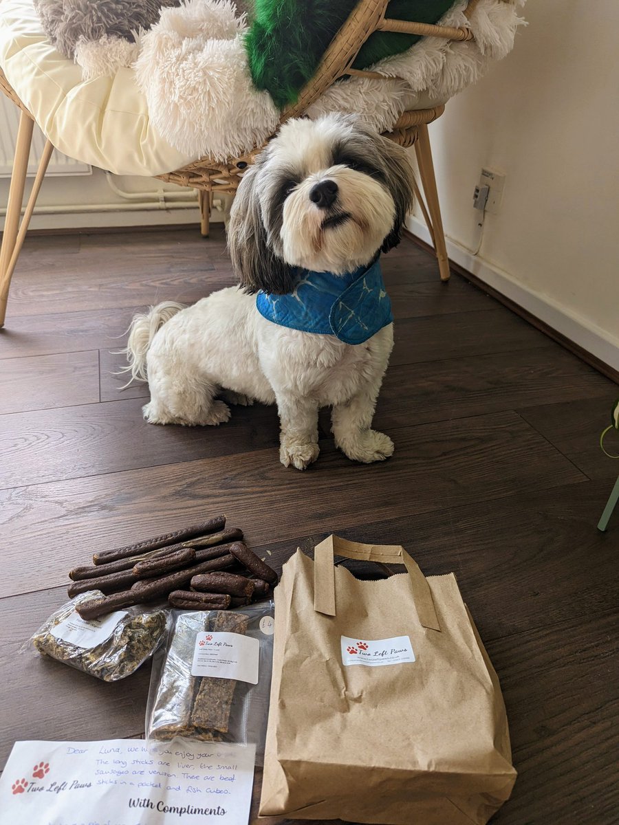 Luna was the lucky winner of the prize draw at Rickmansworth #loveyourhighstreet Market. Just look at that gorgeous face 💖