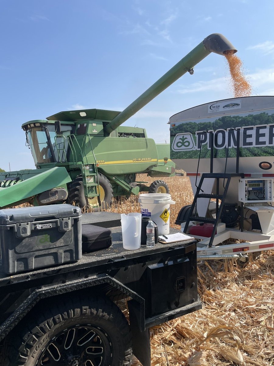 AdamOwens_11's tweet photo. My first @PioneerSeeds grain corn trial has now been harvested! P1380Q and new P1759YHR performed extremely well in this Ellis County trial. #localdata #harvest22 #TXCorn #FieldProven https://t.co/LnODi8tCBE