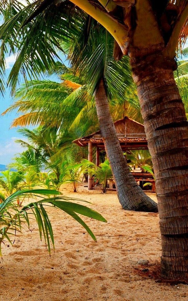 Relaxing mood 🌴💧💙💚