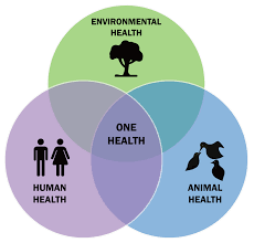 NPHW's tweet photo. COVID-19. Measles. Monkeypox. Emerging zoonotic diseases are on the rise, so what does that mean for One Health? Read the WHO’s newly released report that focuses on how the environment impacts One Health:

https://t.co/dsIGlxlfpW https://t.co/OJsdEThJae