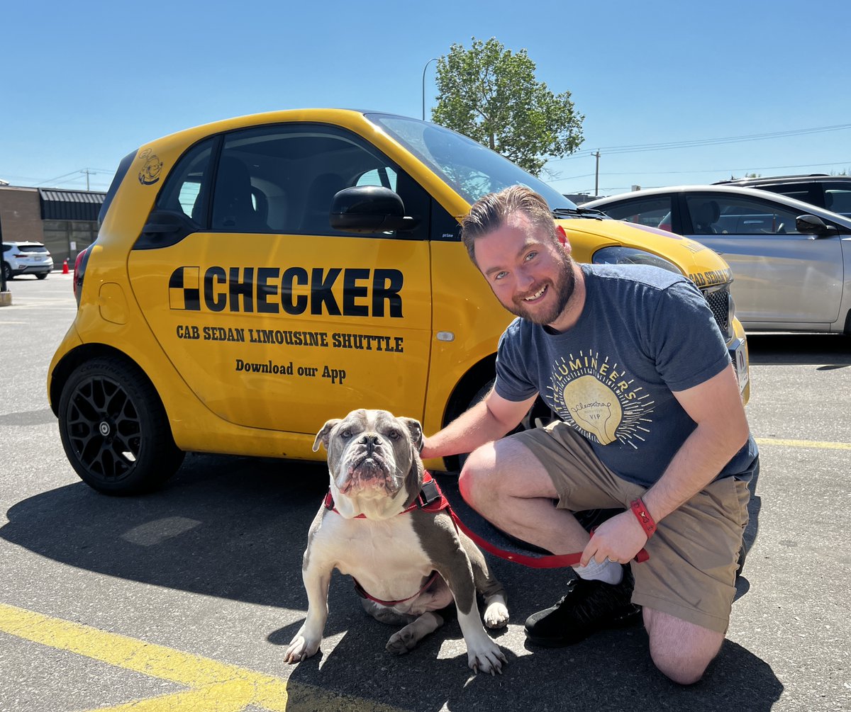 CheckerYYC's tweet image. We heard there was a very good boi helping our friend Sean @WiseGuysLiquor. We heard he was a handsome hunk of puppers so we headed over for some 🍑scratches. Einstein, you made our day #supportyyc #localyyc.