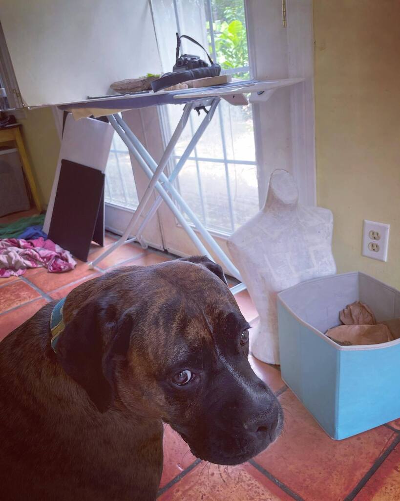 CraftyHope's tweet photo. I desperately need to get some photos taken, but it’s far too hot to do it outside like I prefer. Thank goodness Zoë is letting me use “her” sunroom!! 

#artistlife #photostation #workworkwork #photography #jewelryartist #artist #jewelrydesigner #idoallt… https://t.co/RNSxalfzRV https://t.co/tbbv7I8g6r