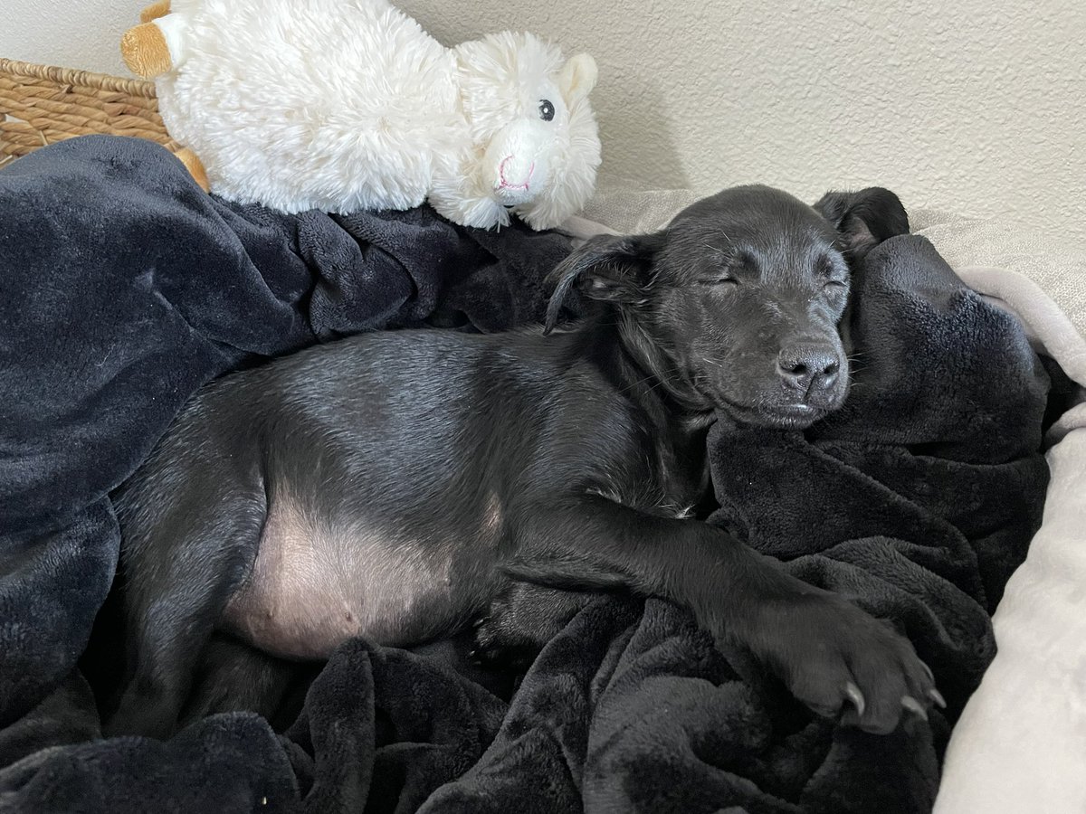 She’s only 2 months old. 🥹🖤