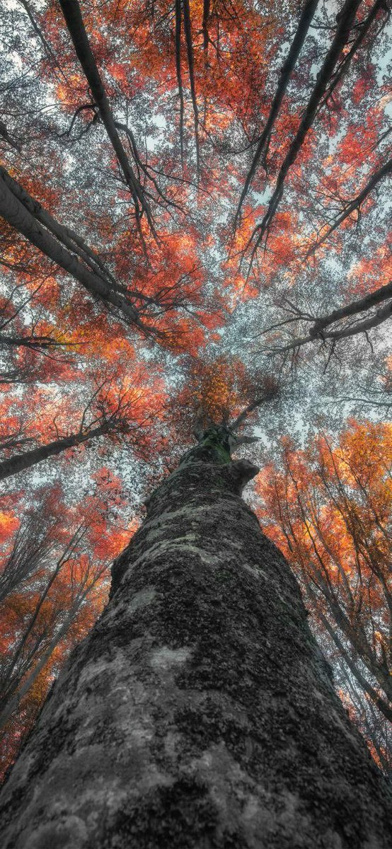 KaYs_Wall's tweet image. RANDOMS - 27
 
15% COLA | BAWUMIA | Vice President | #puredrive | #Techbuddyspace