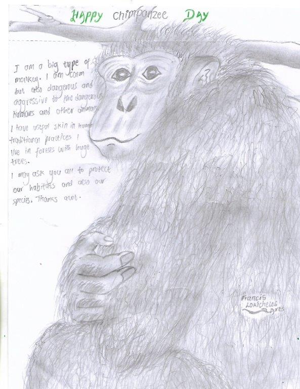 WHWF1's tweet photo. As we celebrate World Chimpanzee Day today, we asked our students to draw sketches of chimpanzees &amp; their thoughts on how important it is to protect them in the wild. Our thanks to students Francis Lockichele &amp; Joseph Wahome of Likii Mixed Day Secondary School for participating. https://t.co/VFRCES1QOb