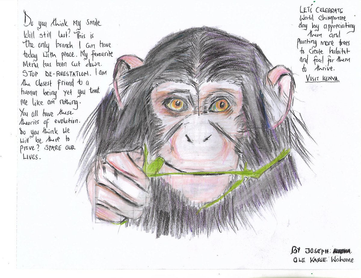 WHWF1's tweet photo. As we celebrate World Chimpanzee Day today, we asked our students to draw sketches of chimpanzees &amp; their thoughts on how important it is to protect them in the wild. Our thanks to students Francis Lockichele &amp; Joseph Wahome of Likii Mixed Day Secondary School for participating. https://t.co/VFRCES1QOb