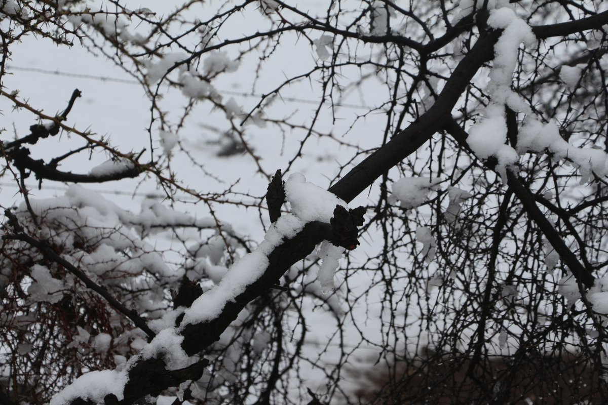 Aquí.. desde algún lugar de la provincia de Petorca 🫶⛄️❄️❄️

Saludos,