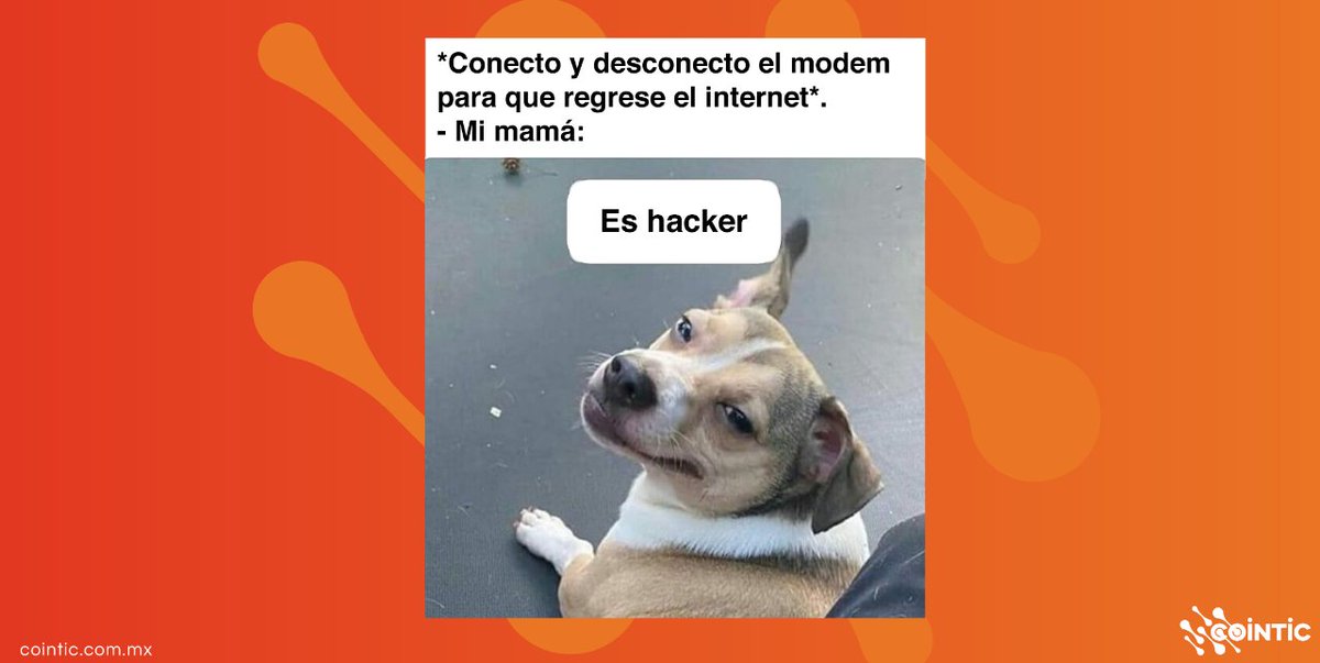 cointicmx's tweet image. Sí somos 😂 😂

#HumorCointic #MemesInformáticos