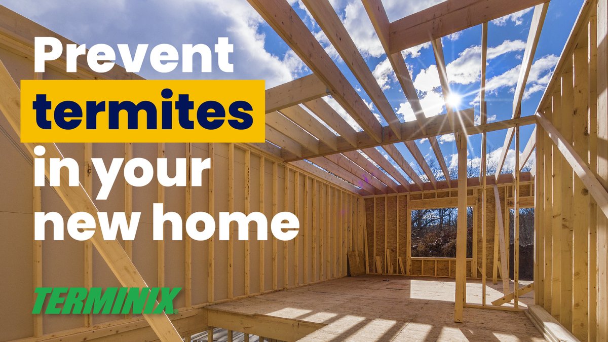 If you're building the home of your dreams or adding to your current home, you'll want to make sure that termites don't become long-term residents during the process. Discover these simple strategies to help prevent termites when building a new home. terminix.com/termites/termi…