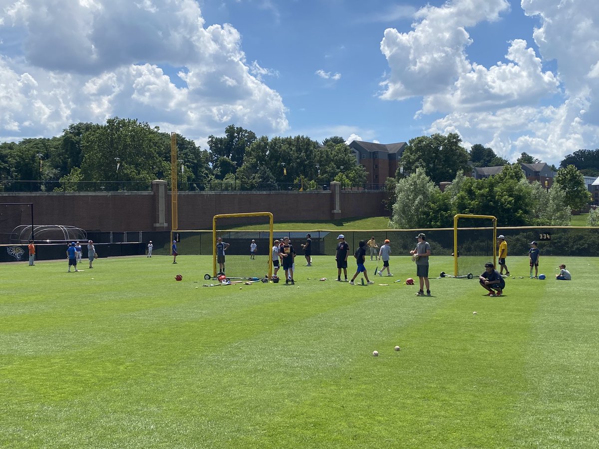 Towson Baseball tweet media