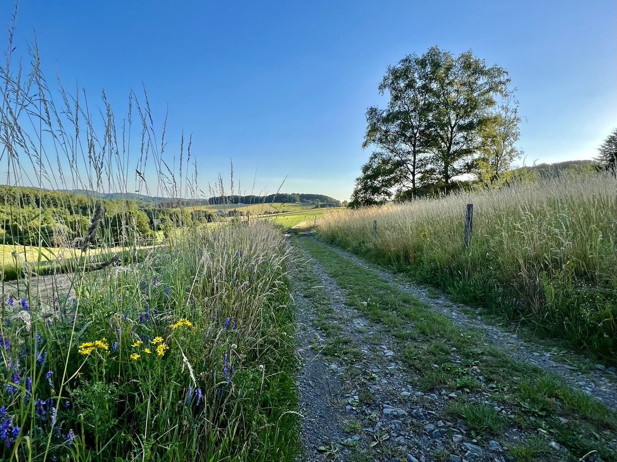 Kennt ihr schon den L‘Ommer Jon - bedeutet „Lass und gehen“ - Weg in Lindlar? Ein leichter Wanderwrg von 6,5 Km, also auch prima was für Kinder 🥾👍🏼 bergisches-wanderland.de