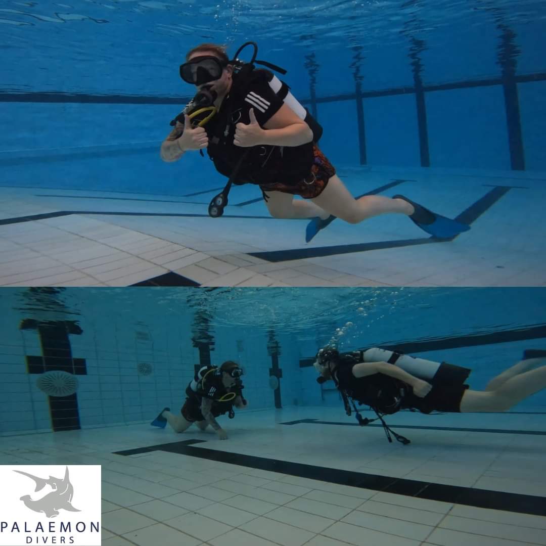 palaemon_divers's tweet photo. Belated pool night update last night at @LifestylesGym Austin Rawlinson! 

@PADI Discover Scuba dives
Kids Club 
Skills practice 

😎

#Liverpool #merseyside #scuba #scubainthecity https://t.co/mVZZ8c0mEM