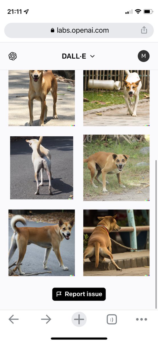 mark_emerton's tweet photo. @the_accidental Interestingly it doesn’t generate images of dogs who have obviously lost a leg, instead four legged dog with a fully or partially occluded leg. https://t.co/MgalVND0oo