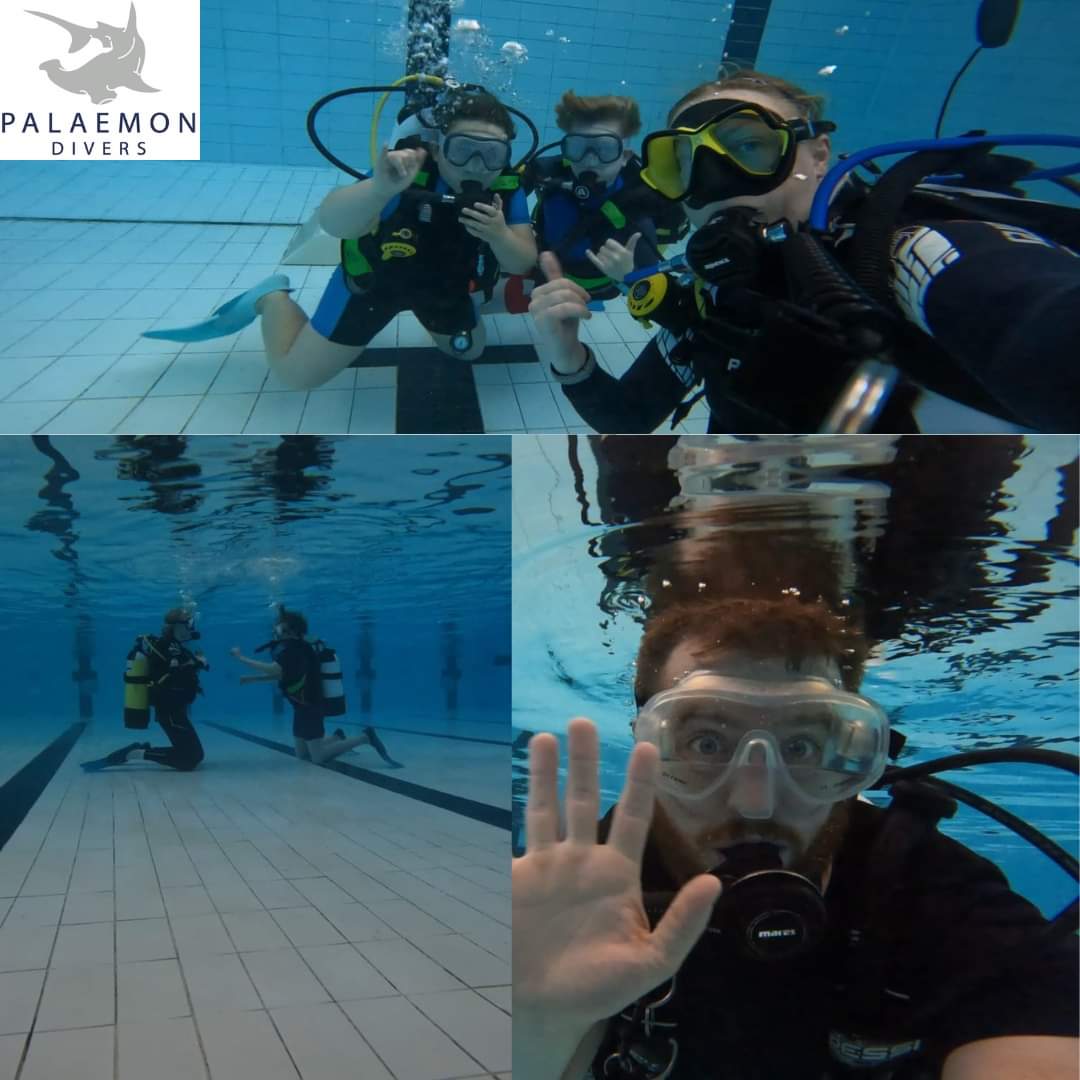 palaemon_divers's tweet photo. Belated pool night update last night at @LifestylesGym Austin Rawlinson! 

@PADI Discover Scuba dives
Kids Club 
Skills practice 

😎

#Liverpool #merseyside #scuba #scubainthecity https://t.co/mVZZ8c0mEM