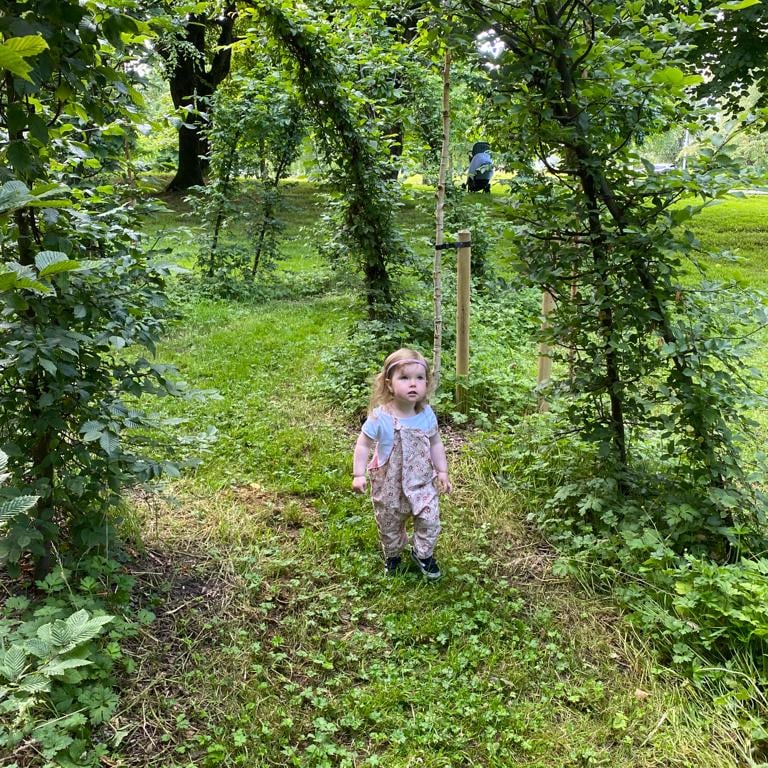 Jeanne Willis from 'Wild Child'
'They caught all the wild children and put them in zoos, they made them do sums and wear sensible shoes' Seen playing in the Pavilion for Limerick this week-Astrid, our littlest OHL wild child
@artscouncilireland
<a href="/ARCHmagazineUK/">Architecture Magazine | Architecture Yearbook</a> 
<a href="/LimerickCouncil/">Limerick Council - Comhairle Luimnigh</a>