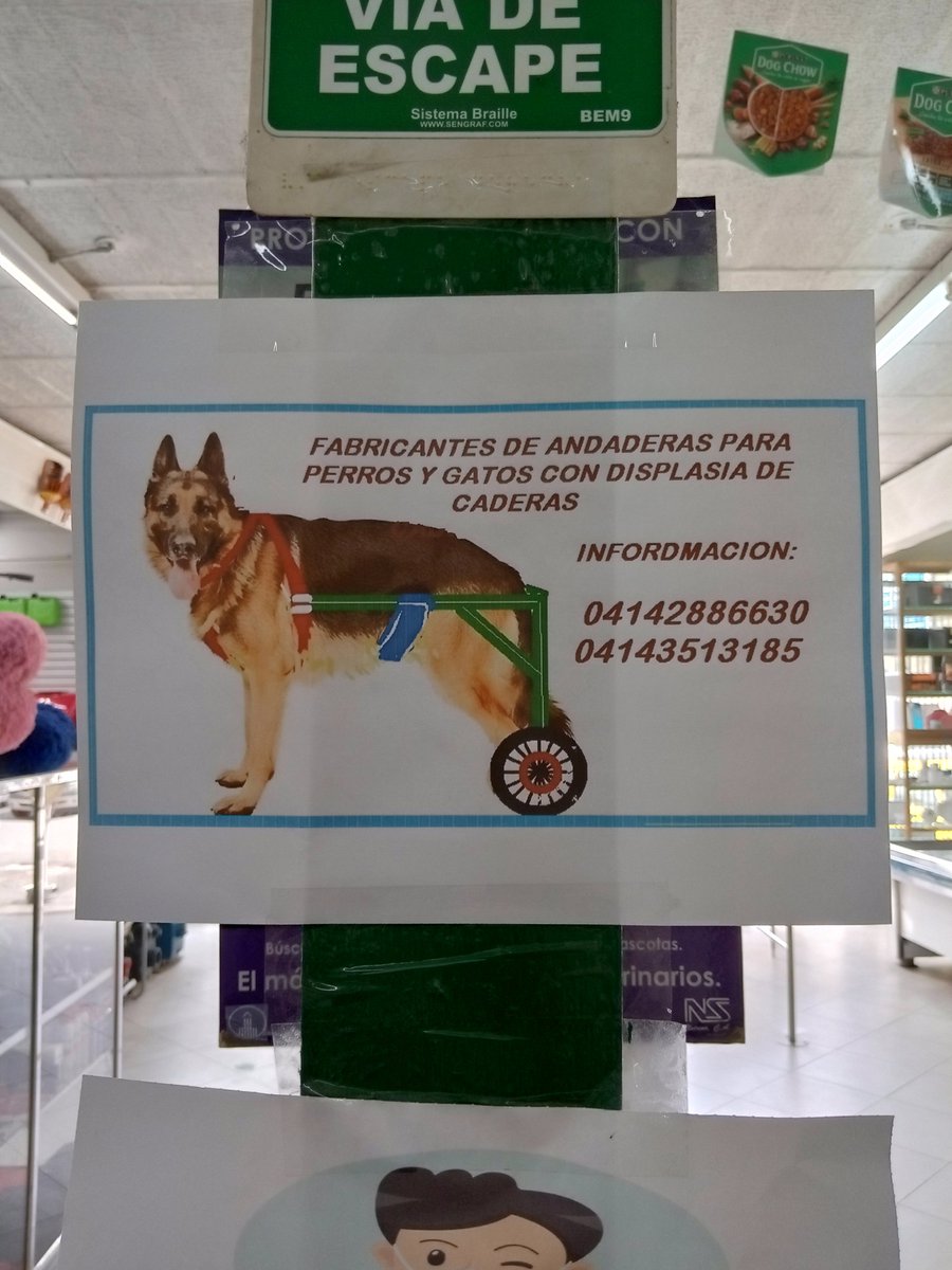@perritosdevenezuela tweet media