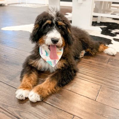 #NewProfilePic