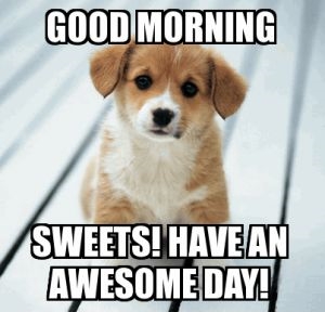 inajang4's tweet photo. Hello, everyone!🎈

Happy Saturday morning!!🌈
Have a great day today.💕 https://t.co/vLtqjhzO2d