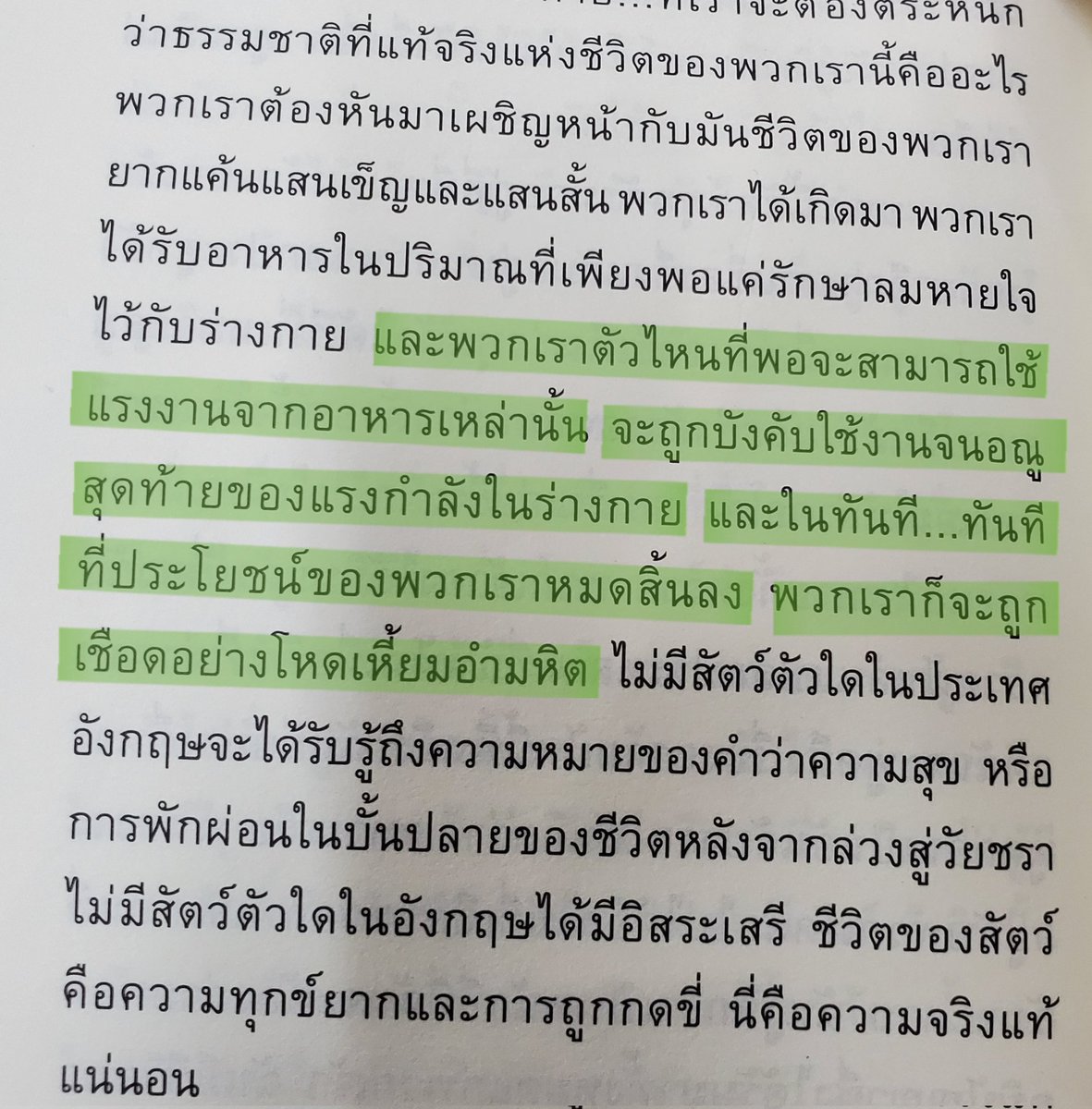 GzzPml's tweet photo. 😞
#AnimalFarm #เล่าหนังสือ https://t.co/0CH5rmUesn