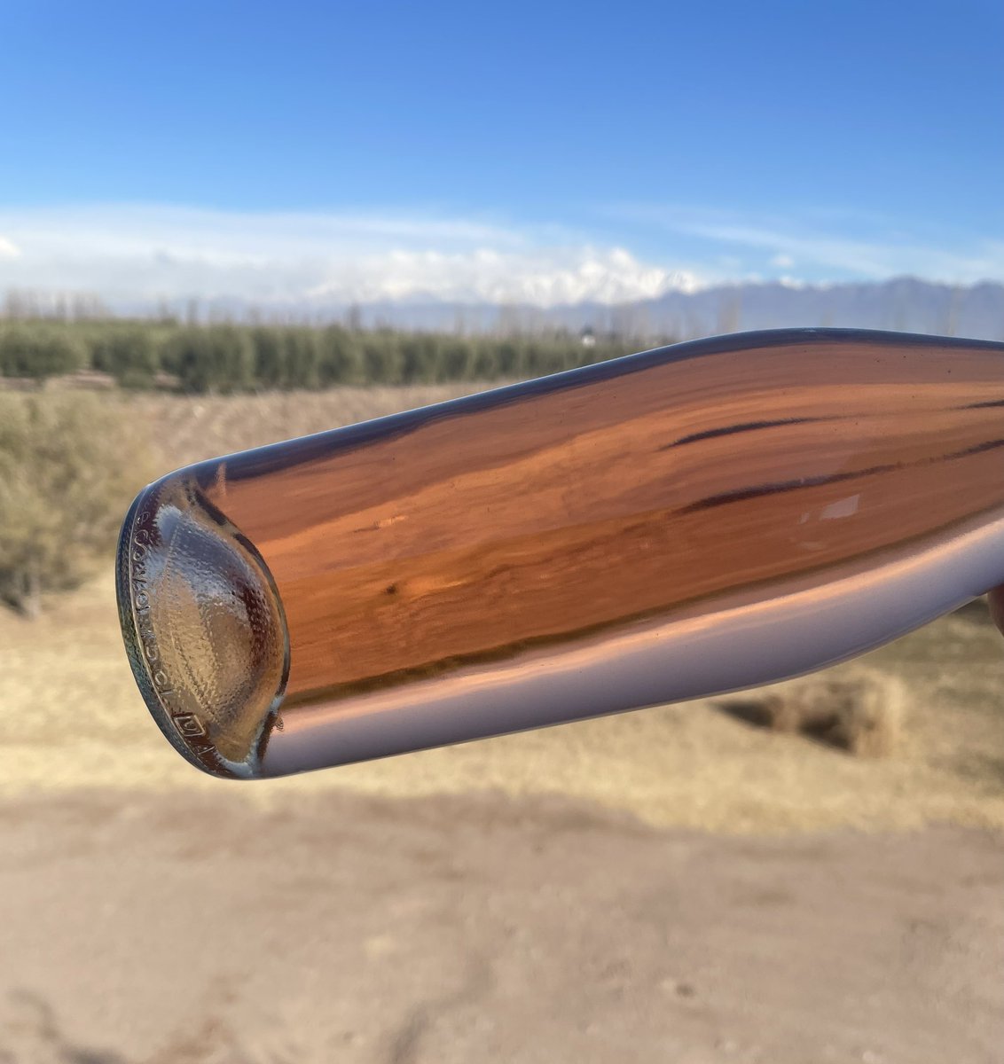 Nuevito! 💣

#2022
#Rosé
#Merlot
#Agrelo
#MerakiWines