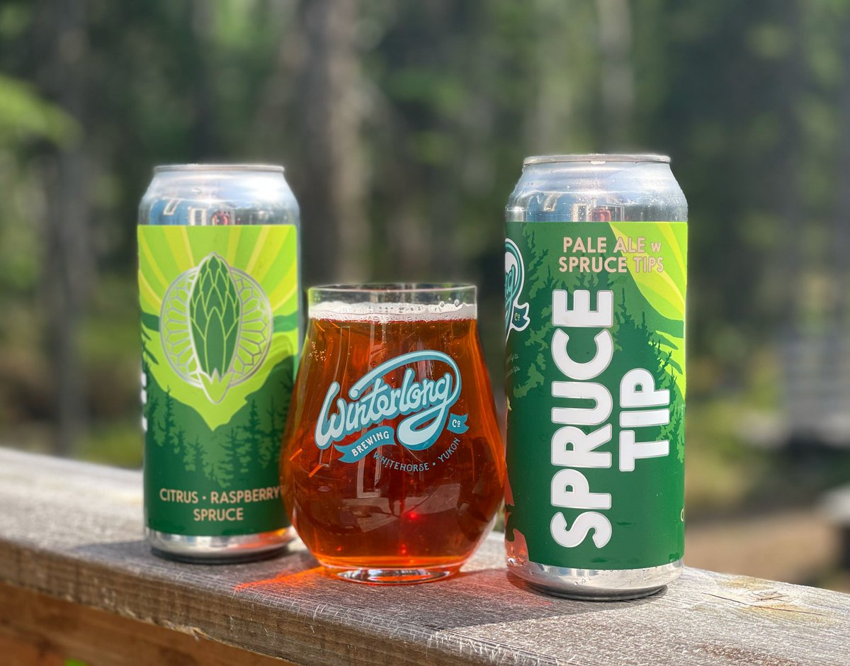 winterlongbeer's tweet image. Our 2nd batch will be here on SATURDAY! Pre-order on our web store  on Friday @ 8 pm, otherwise see ya on the weekend 🙌
#winterlong #sprucetip #sprucebeer #yukoncraftbeer
