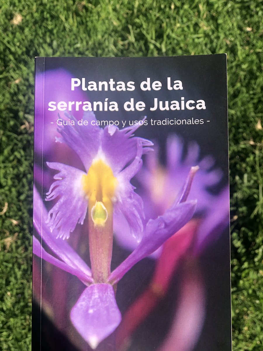 lasdelpueblo_t's tweet photo. #MujeresEnCiencia ¡El conocimiento se comparte! Las #BotanistasDeJuaica Mariaclara López (ecóloga) y Ana María Santana (est. de licenciatura en Biología) nos presentan: 
🇨🇴🌿 📖'Plantas de la serranía de #Juaica-Guía de campo y usos tradicionales'  👉 https://t.co/NkiHPK812F https://t.co/xQacdXaglm