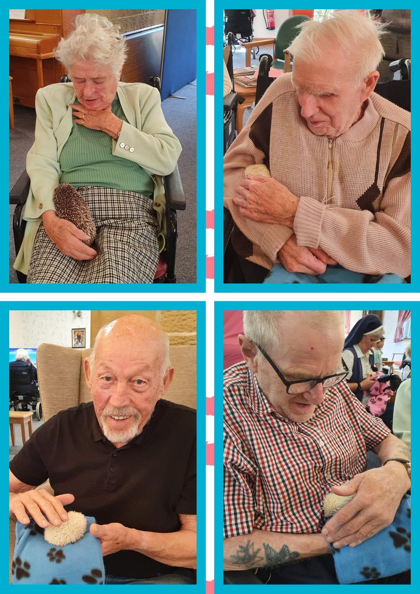 NCCTUK's tweet photo. This Wednesday at our care home in Lancaster we enjoyed a visit from some very cute little hedgehogs &amp; we were able to handle &amp; cuddle them &amp; the residents enjoyed learning lots of interesting facts about them! #hedgehogs #gettingclosetonature #ncctuk https://t.co/TiQtvpq5wu