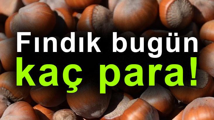 Fındık bugün kaç para!
findiktv.com/findik-bugun-k…