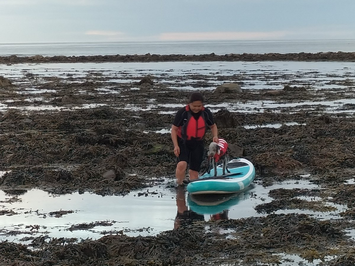 BlueSky8689's tweet photo. Second night out on the sea and I had a perfect companion this time. Calm sea, lost track of time watching jellies and other fish swimming my. #MindfulExercise #MindBodySpirit #HealthandWellbeing https://t.co/ipqGUA7g4T