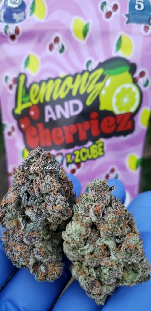 Lemonz and Cherriez x ZCube #LemonzAndCherriez #ZCube #TheBackpackBoyz