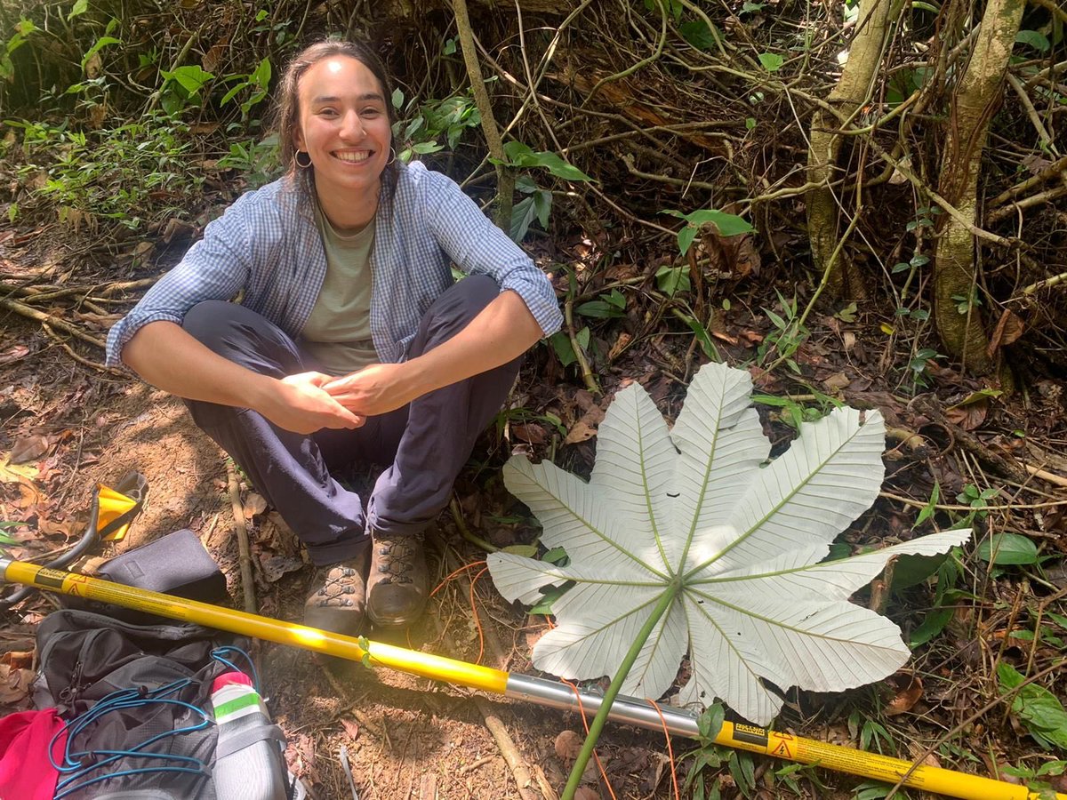 BobMuscarella's tweet photo. Very proud PI of @PlantEcoEvo_UU PhD students @SamwiseFarrar with poster #ATBC2022 and @Lallamoro on fieldwork in #PuertoRico @LUQLTER. https://t.co/ZOHs85wweg