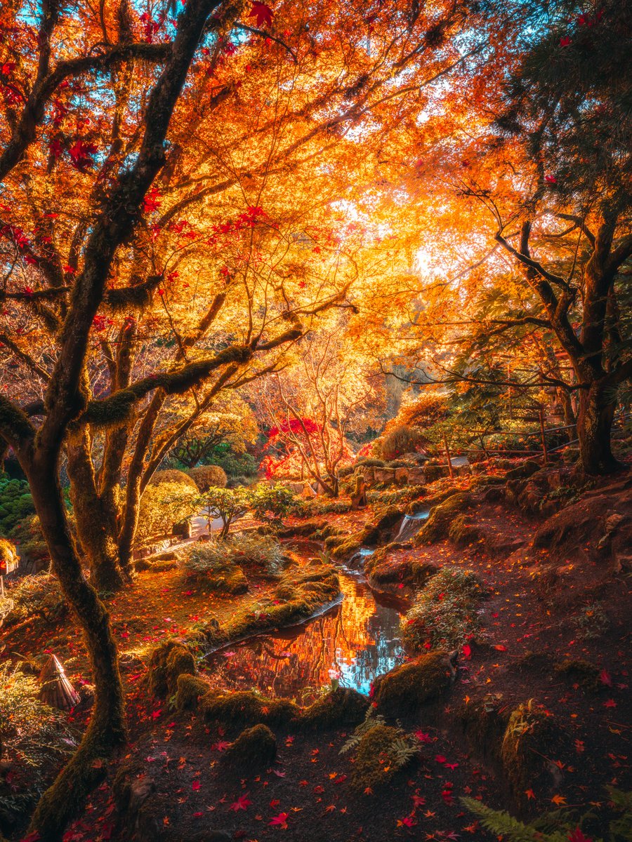 Zach Doehler tweet media