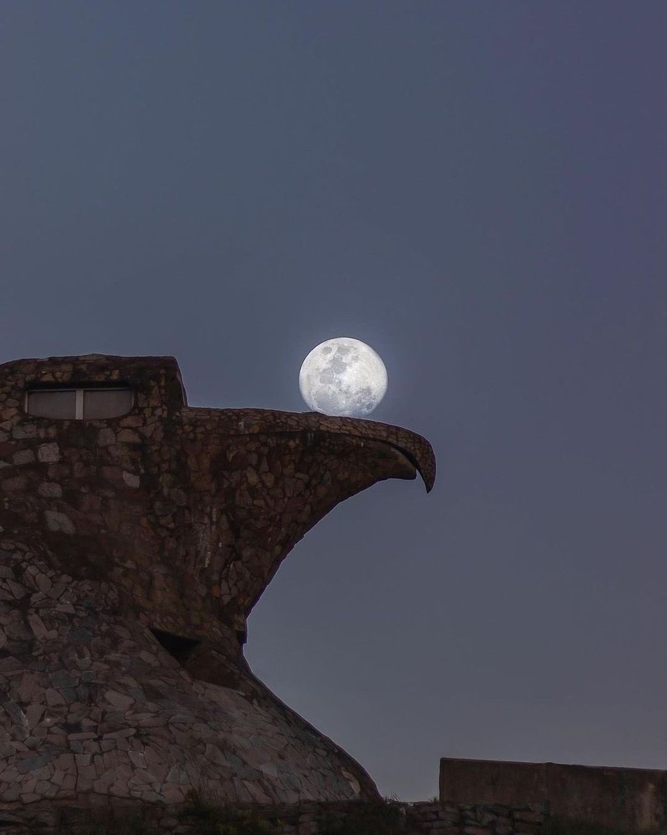 Uy_Paisajes's tweet photo. 🦅🌙
📍Villa Argentina, Canelones. https://t.co/dV4Tm2ZRA4