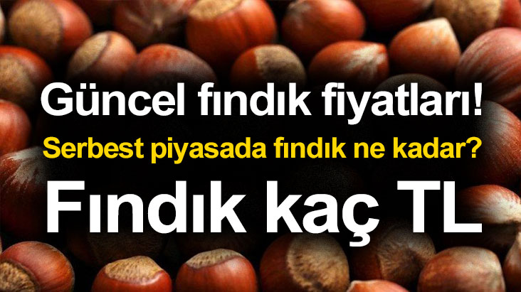 Güncel fındık fiyatları! Serbest piyasada fındık ne kadar? Fındık kaç TL
findiktv.com/guncel-findik-…