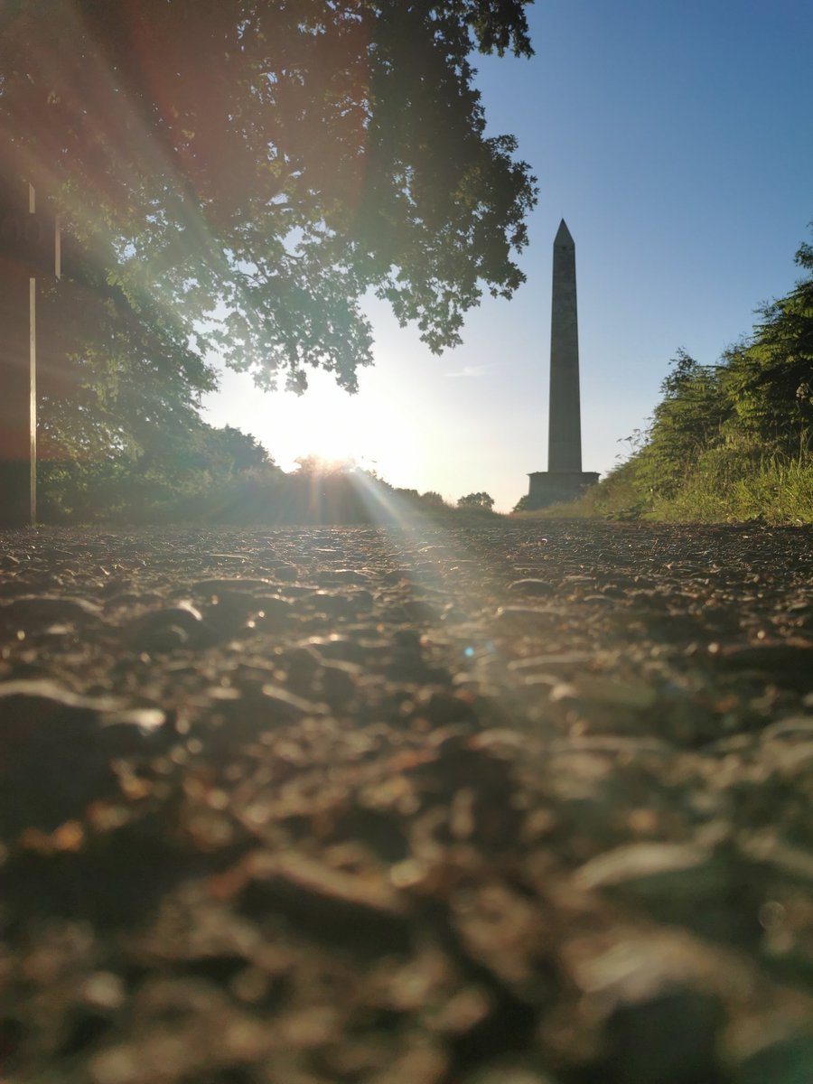 Beautiful peaceful walk 🌿 #wellingtonmonument <a href="/nationaltrust/">National Trust</a>