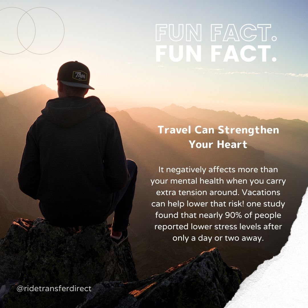 ridetransfer's tweet photo. Not everyone who wanders are lost!🌳 🚶‍♂️🌲

#ridetransferdirectrides #travel #travelling #traveladdict #traveltheworld #travelmore #travellife #traveladdicted #holidaydestination #adventuretrip #beautiful #fortune #funfact https://t.co/8Xz1ns0ipK