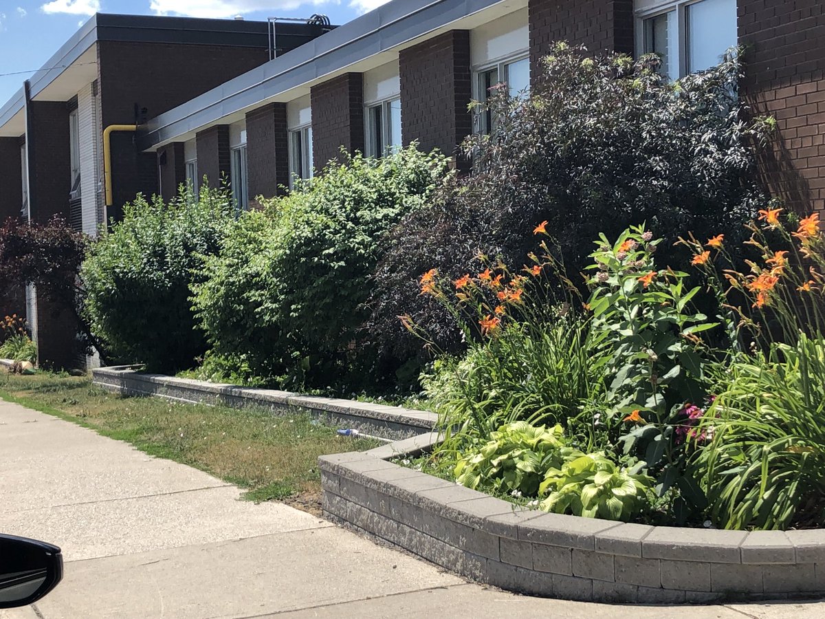 Wonderful front garden at Queenston Drive PS. Thanks to the custodial staff for all that you do to keep the school looking great. ⁦<a href="/FacilitiesPDSB/">Facilities and Maintenance at PDSB</a>⁩ ⁦<a href="/CUPE2544/">Cupe2544</a>⁩