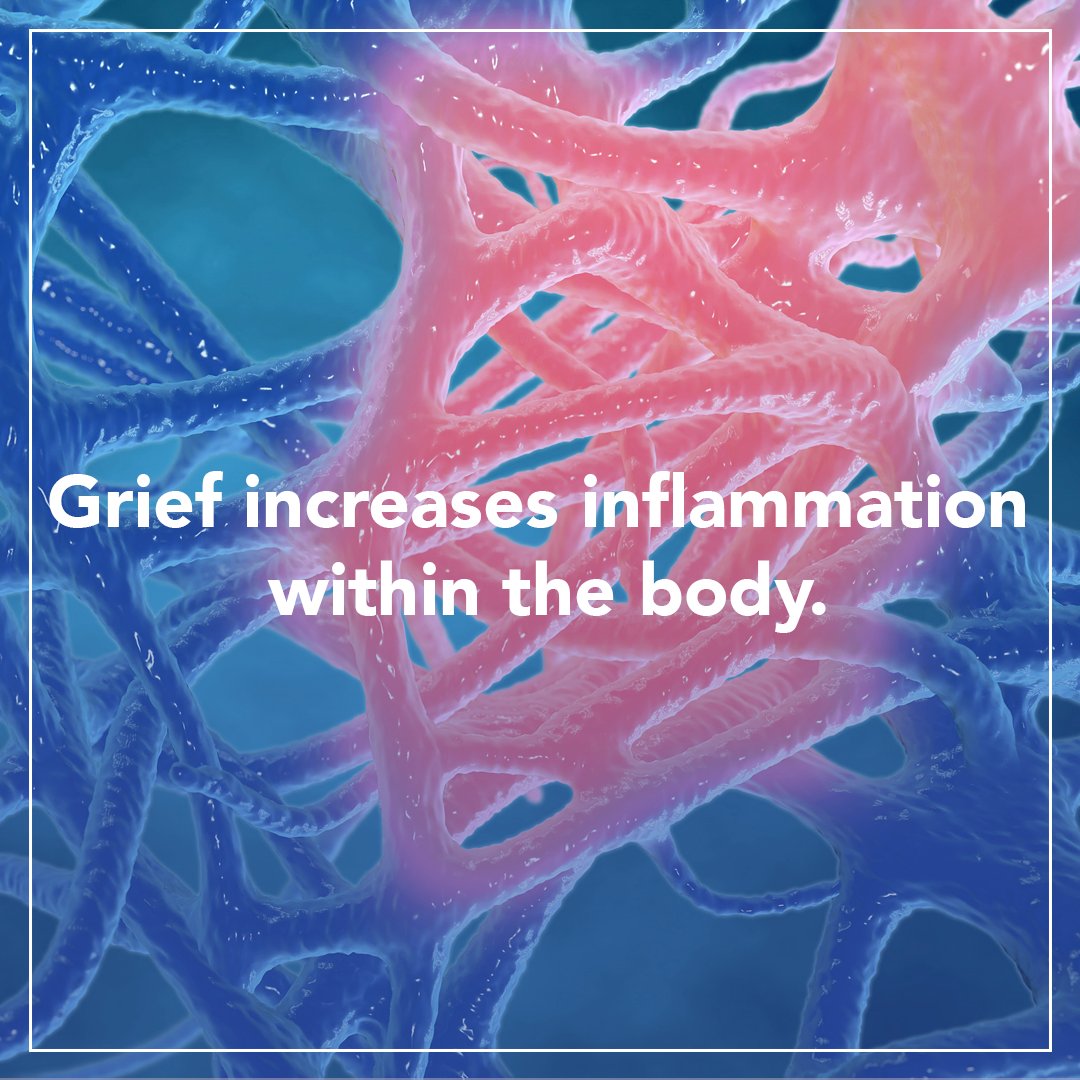 INELDA_ORG's tweet photo. A team of scientists found higher levels of inflammation in bereaved adults. Read more in our newsletter July 28. Stay tuned for our new class: Navigating Grief this fall. https://t.co/SemjpMJRBt #INELDA #endoflifedoula #supportgrief #leanwithus https://t.co/h4rr1ZkS3M