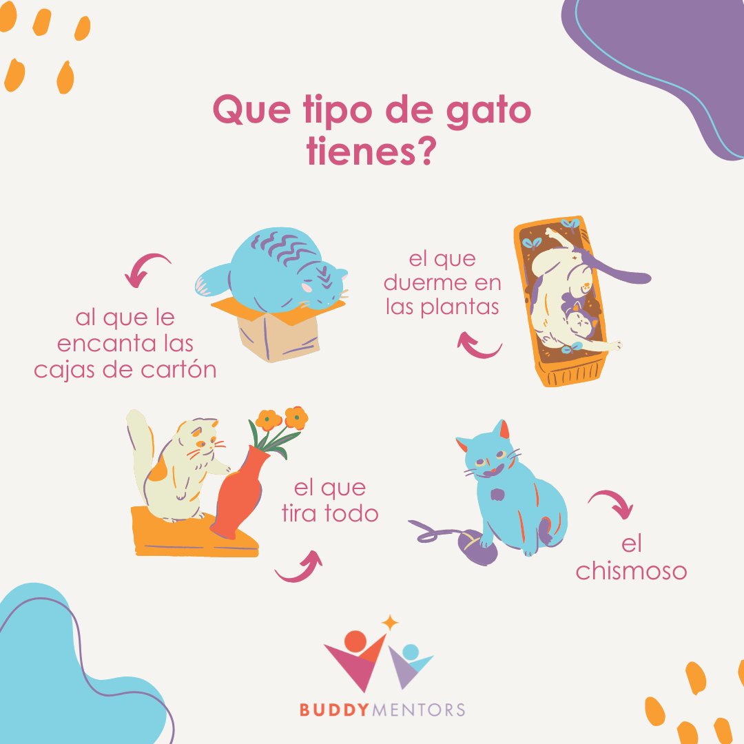 BuddyMentors's tweet photo. Let us know down in the comments! Which type of cat do you or your Buddy have? 

¡Déjanos saber en los comentarios! ¿Que tipo de gato tienes tú o tu Buddy? https://t.co/jifAZzZ9E2
