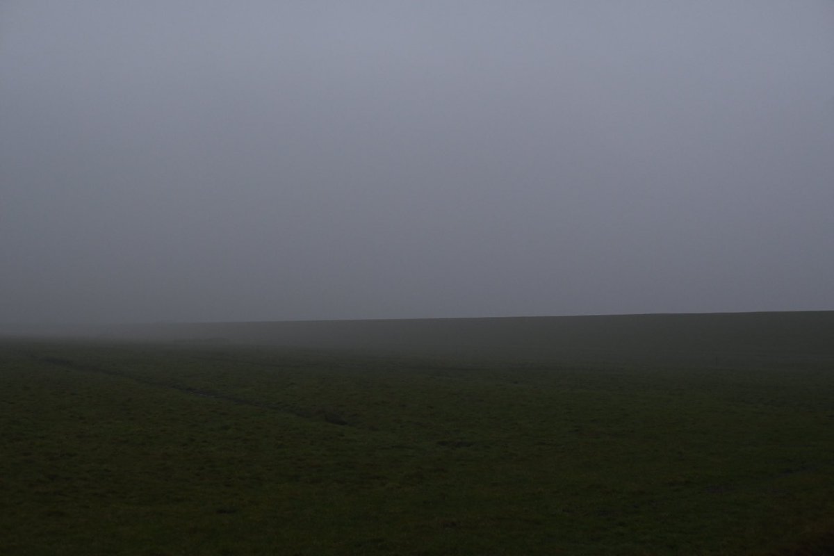 Gorgon Stare (@nickmorgenbach) on Twitter photo 