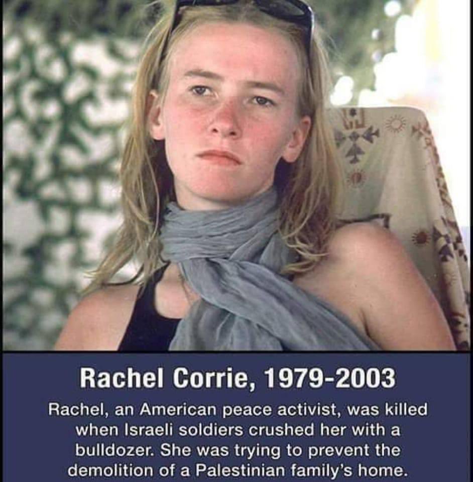 Amar 🇵🇸 tweet media