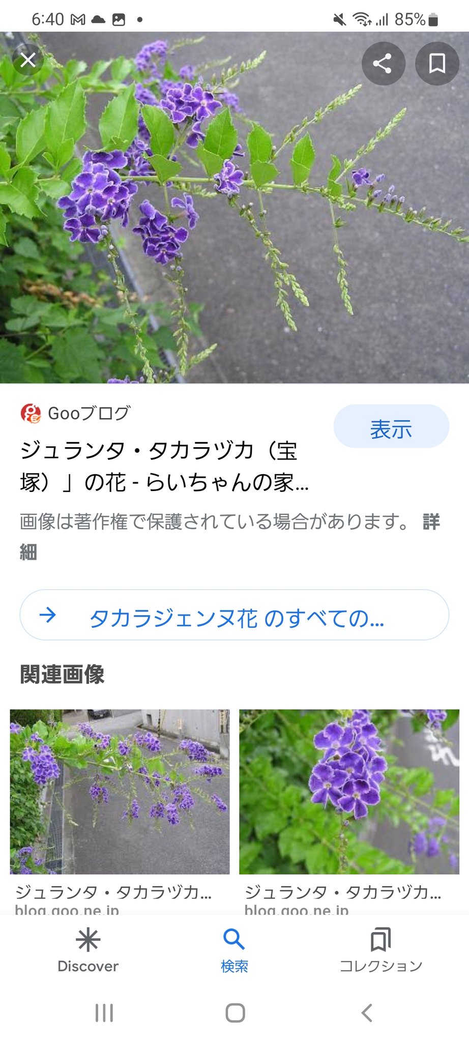 ジュランタ Twitter Search Twitter