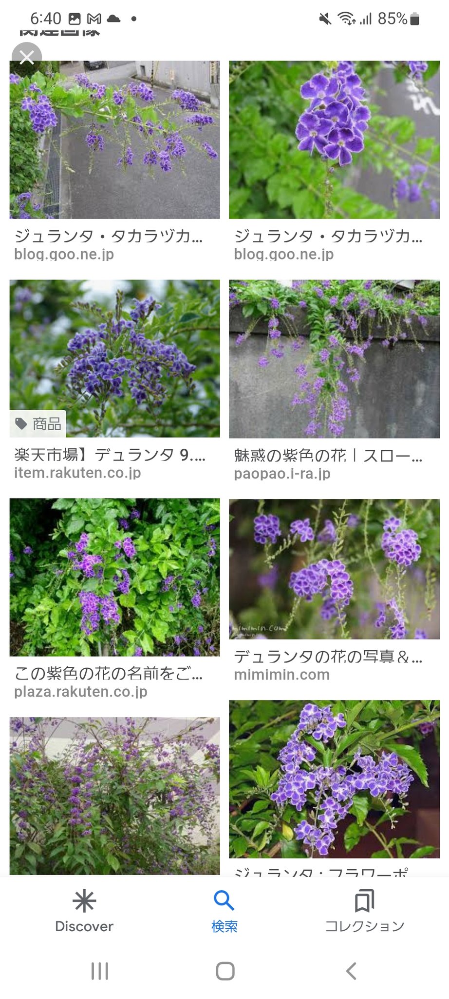 ジュランタ Twitter Search Twitter