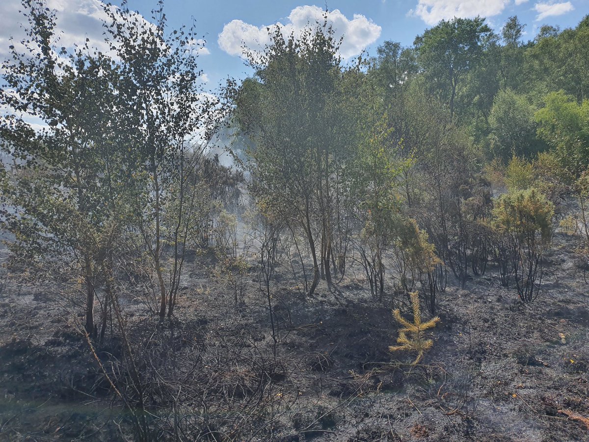 tasker_dan's tweet image. So proud of our teams across @HantsIOW_fire @hiwfrs_control @hiwfrs_ICU @RapidReliefTeam @HantsPolice @SCAS_HART Fantastic command leadership @RyanHIWFRS and a huge team effort to get this complex fire under control so quickly #ONETEAM