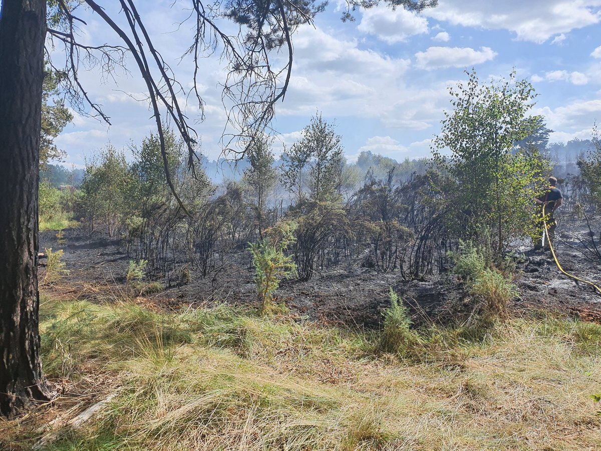 tasker_dan's tweet image. So proud of our teams across @HantsIOW_fire @hiwfrs_control @hiwfrs_ICU @RapidReliefTeam @HantsPolice @SCAS_HART Fantastic command leadership @RyanHIWFRS and a huge team effort to get this complex fire under control so quickly #ONETEAM