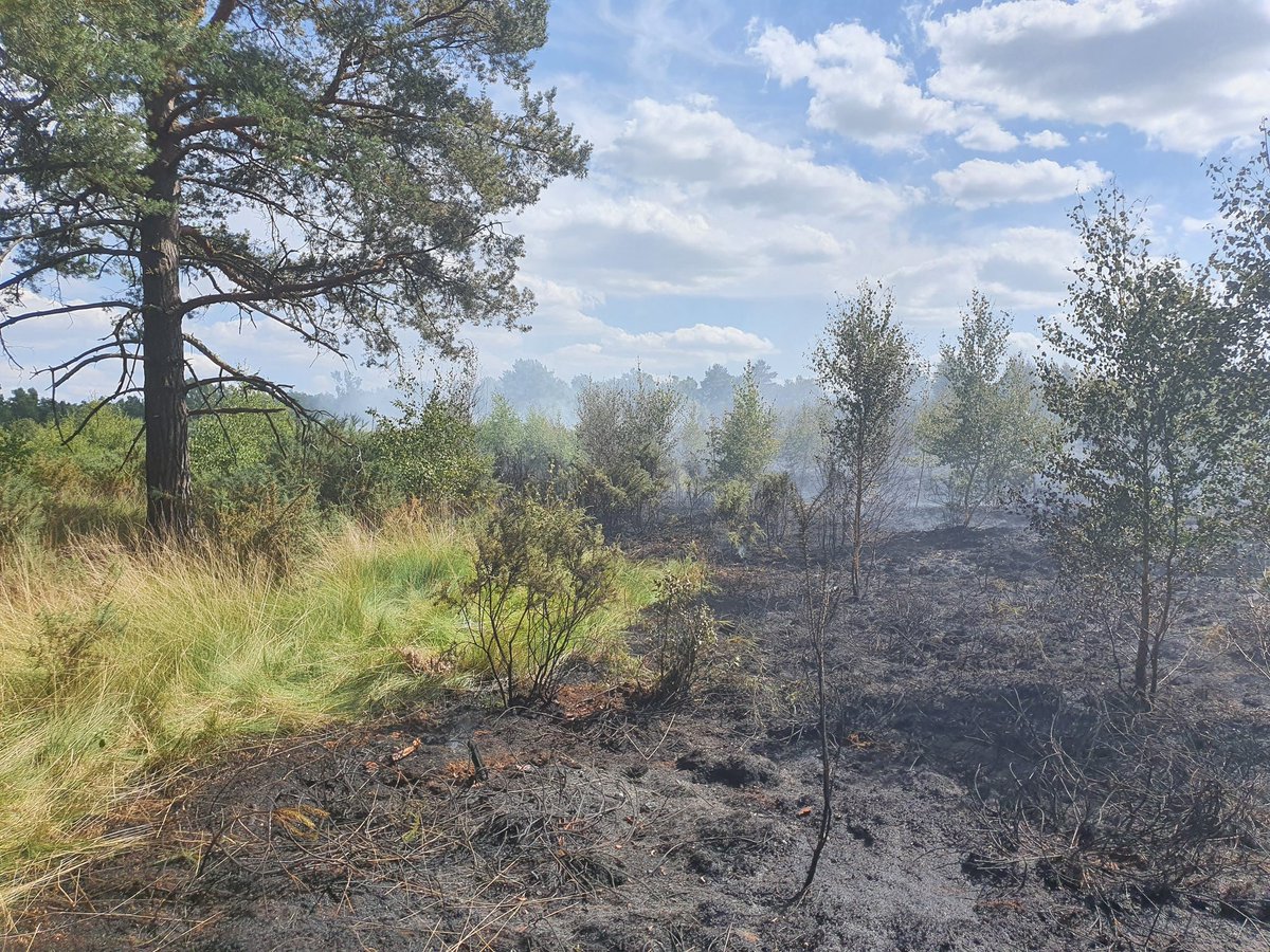 tasker_dan's tweet image. So proud of our teams across @HantsIOW_fire @hiwfrs_control @hiwfrs_ICU @RapidReliefTeam @HantsPolice @SCAS_HART Fantastic command leadership @RyanHIWFRS and a huge team effort to get this complex fire under control so quickly #ONETEAM