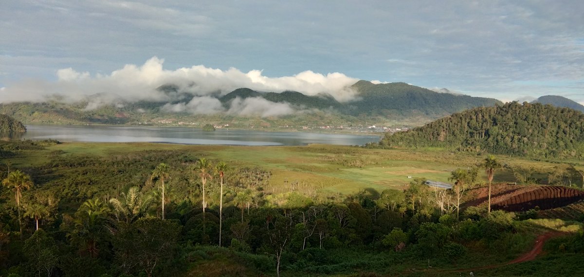 jusufdk's tweet photo. Danau Moat, butuh perhatian agar terhindar dari pendangkalan. https://t.co/7ciq08z41X