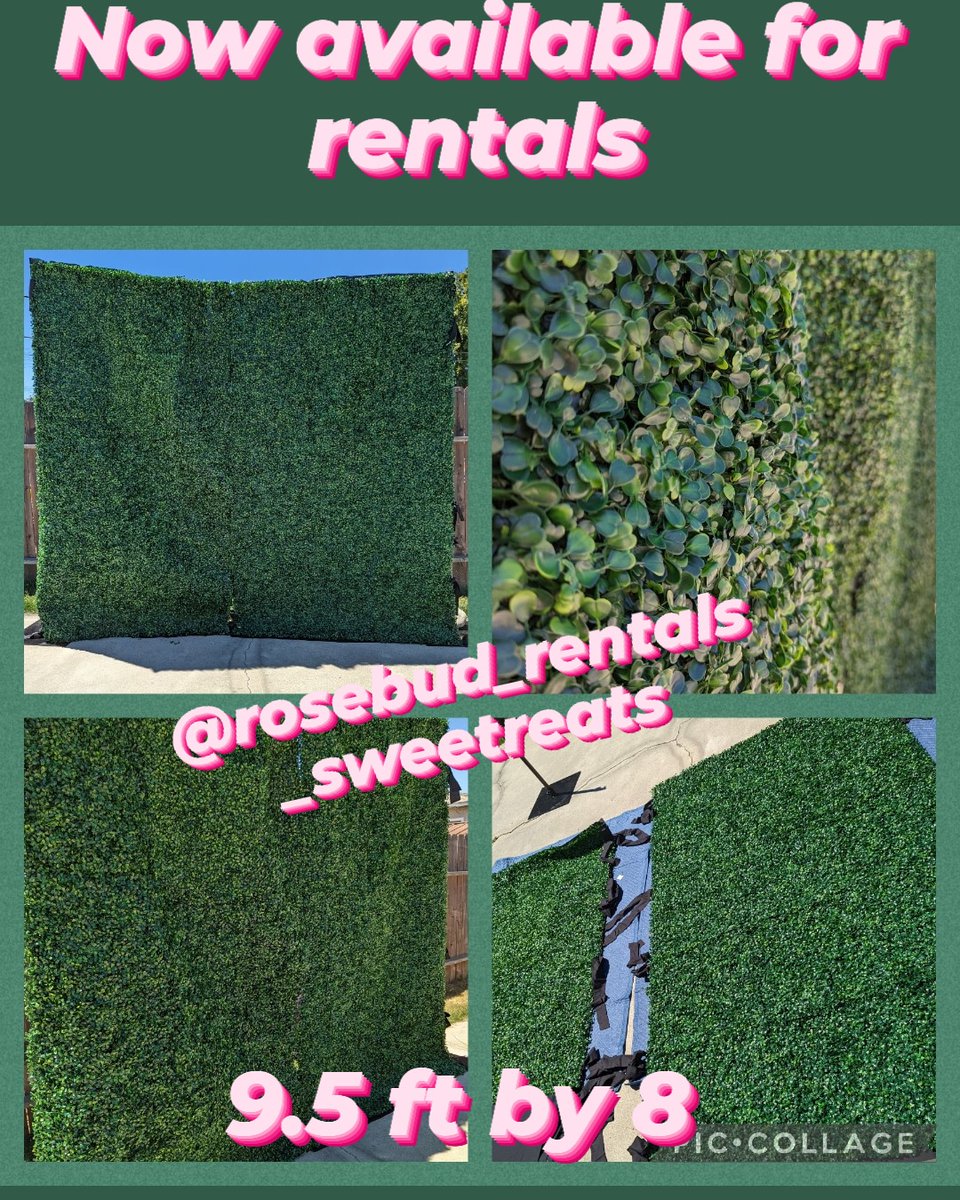 raiders_rosebud's tweet photo. Located Azusa. Message me for more details and available date. https://t.co/mAX2bOGuHA