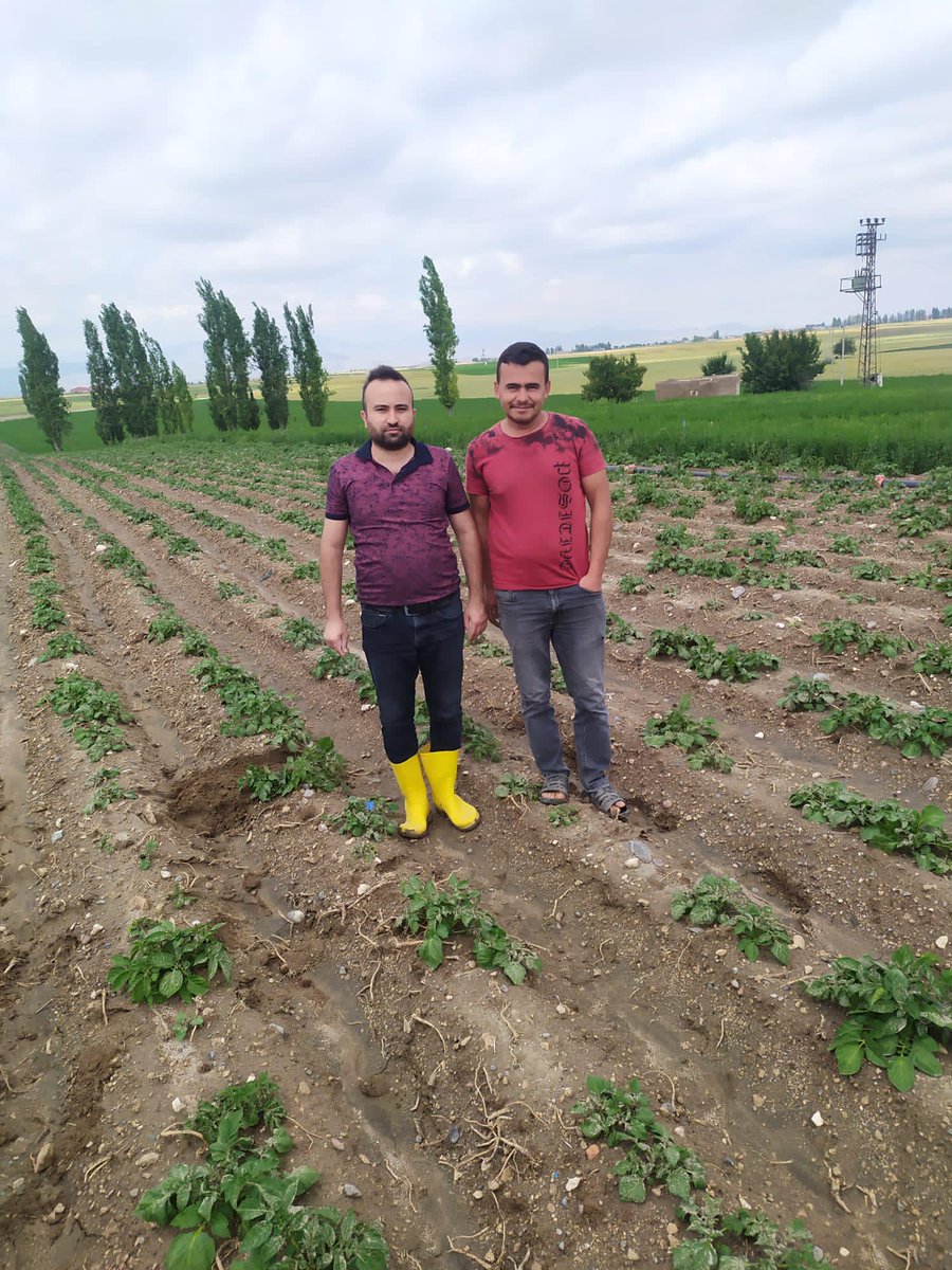 ajansnigde's tweet photo. Ziraat Mühendisleri Çiftçilere Bilgilendirme Yaptı.

https://t.co/HqJY3ERUIM

#nigde #çiftçi #nigdetarım #ziraatmühedisi https://t.co/ADM7fTVZVN