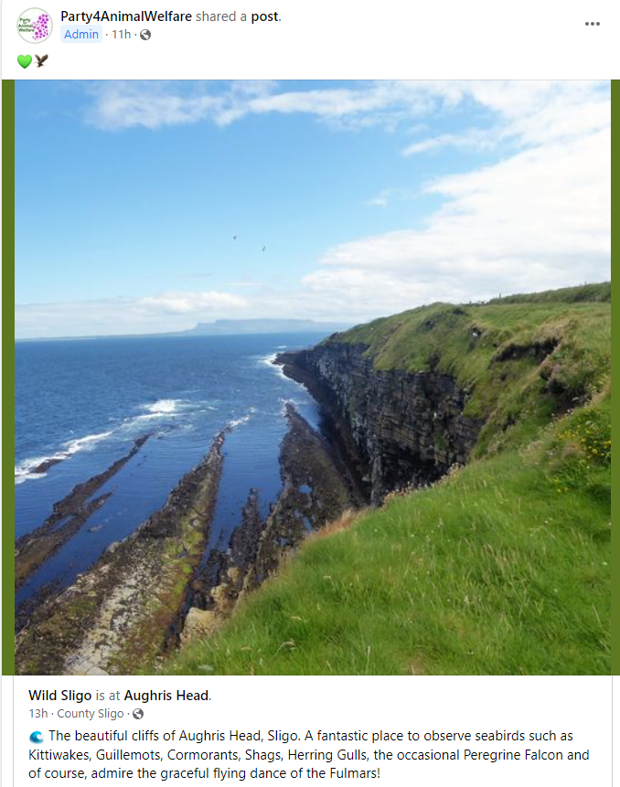 AnimalPartyIE's tweet photo. ๐๐ฆ
๐ #WildSligo is at #AughrisHead The beautiful #cliffs of #Aughris Head, #Sligo . A fantastic place to observe seabirds such as #Kittiwakes, #Guillemots #Cormorants #Shags #HerringGulls the occasional #PeregrineFalcon admire the graceful flying dance of the #Fulmars ! https://t.co/9WAsrtt7EA